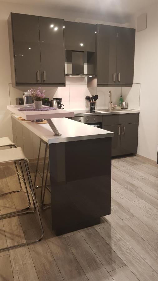 Boznicza Old Town Lux Apartment, Self Check-In 24H, Free Parking Poznań Exteriör bild