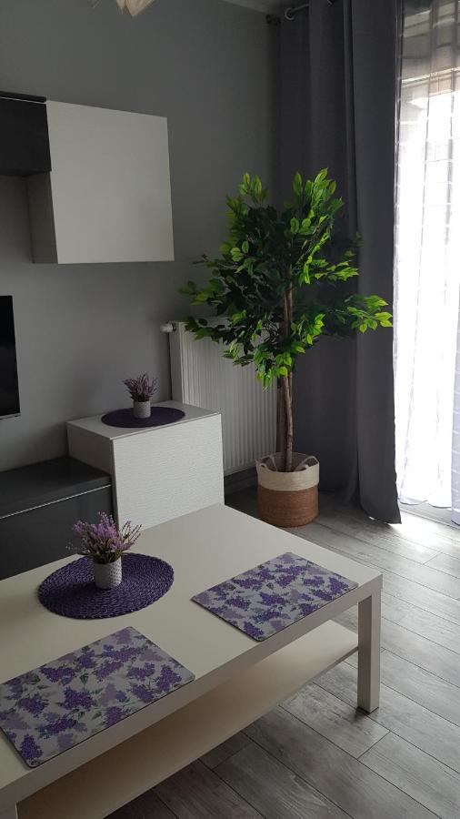 Boznicza Old Town Lux Apartment, Self Check-In 24H, Free Parking Poznań Exteriör bild
