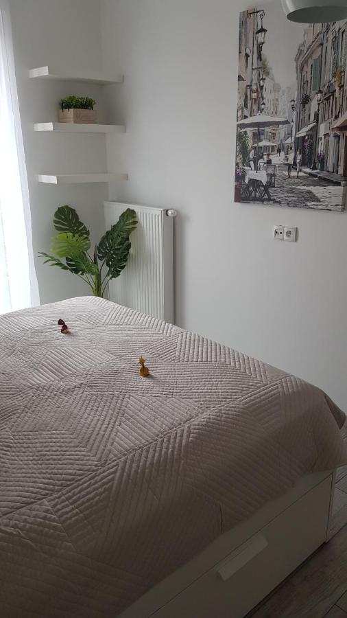 Boznicza Old Town Lux Apartment, Self Check-In 24H, Free Parking Poznań Exteriör bild